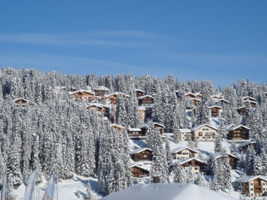 Arosa Vetter Hotel Eksteriør bilde